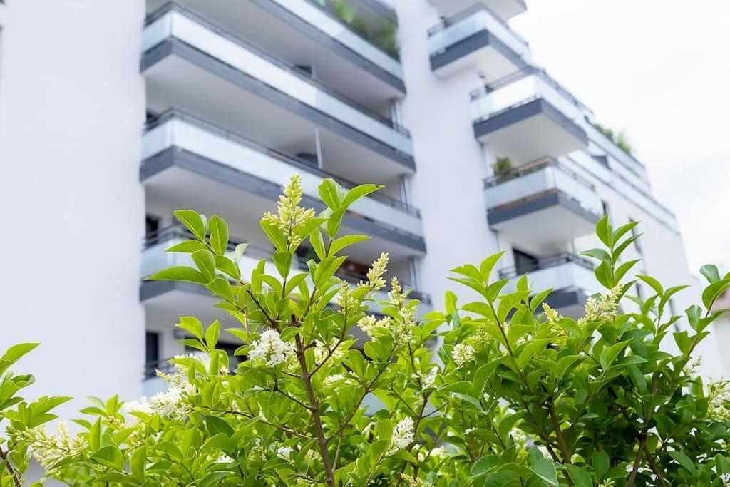 Le Nid Des Romains - T2 Neuf - Balcon - Vue Apartment *